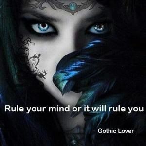 Meet your Posher, Joy